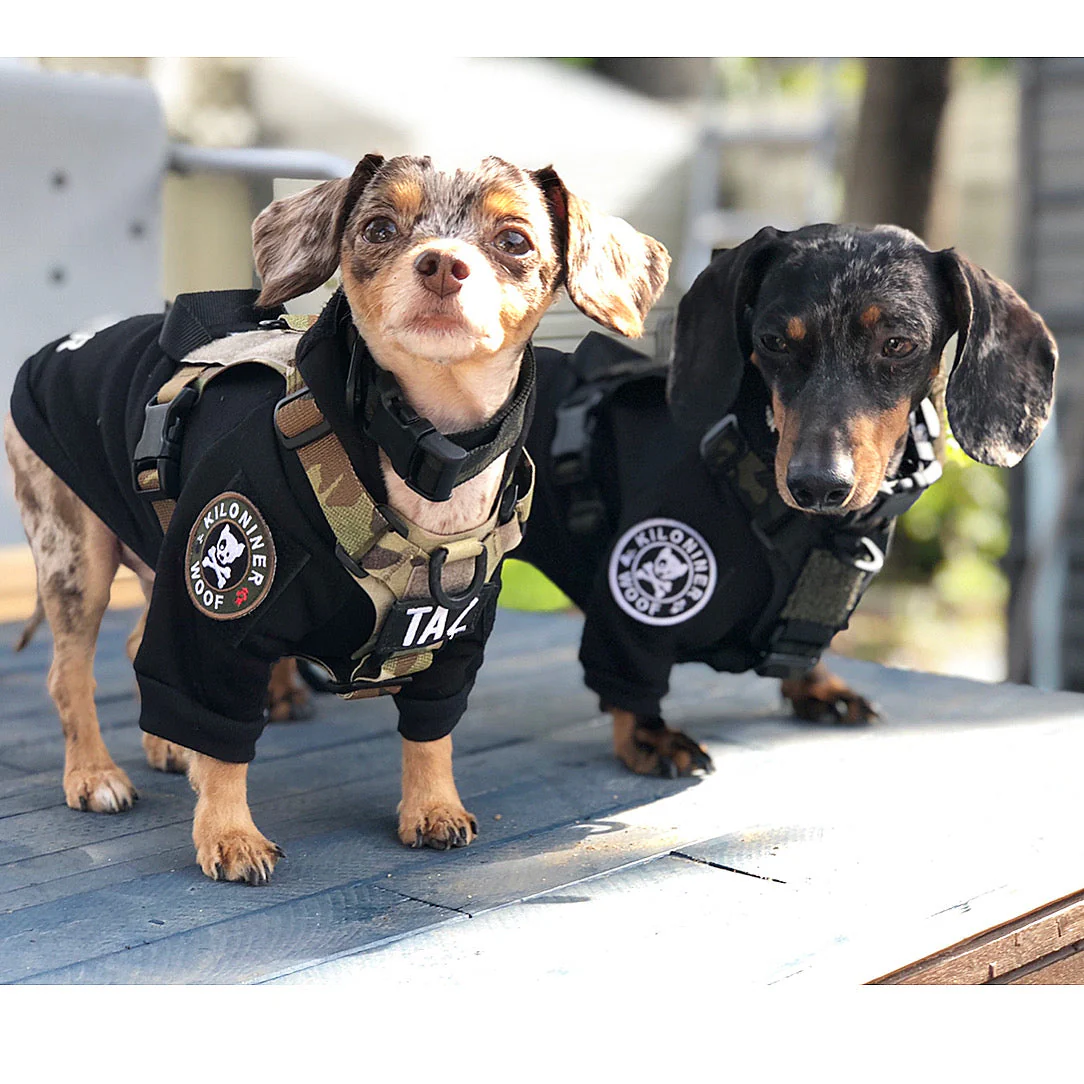 H1 Tactical Dog Hoodie - Image 2