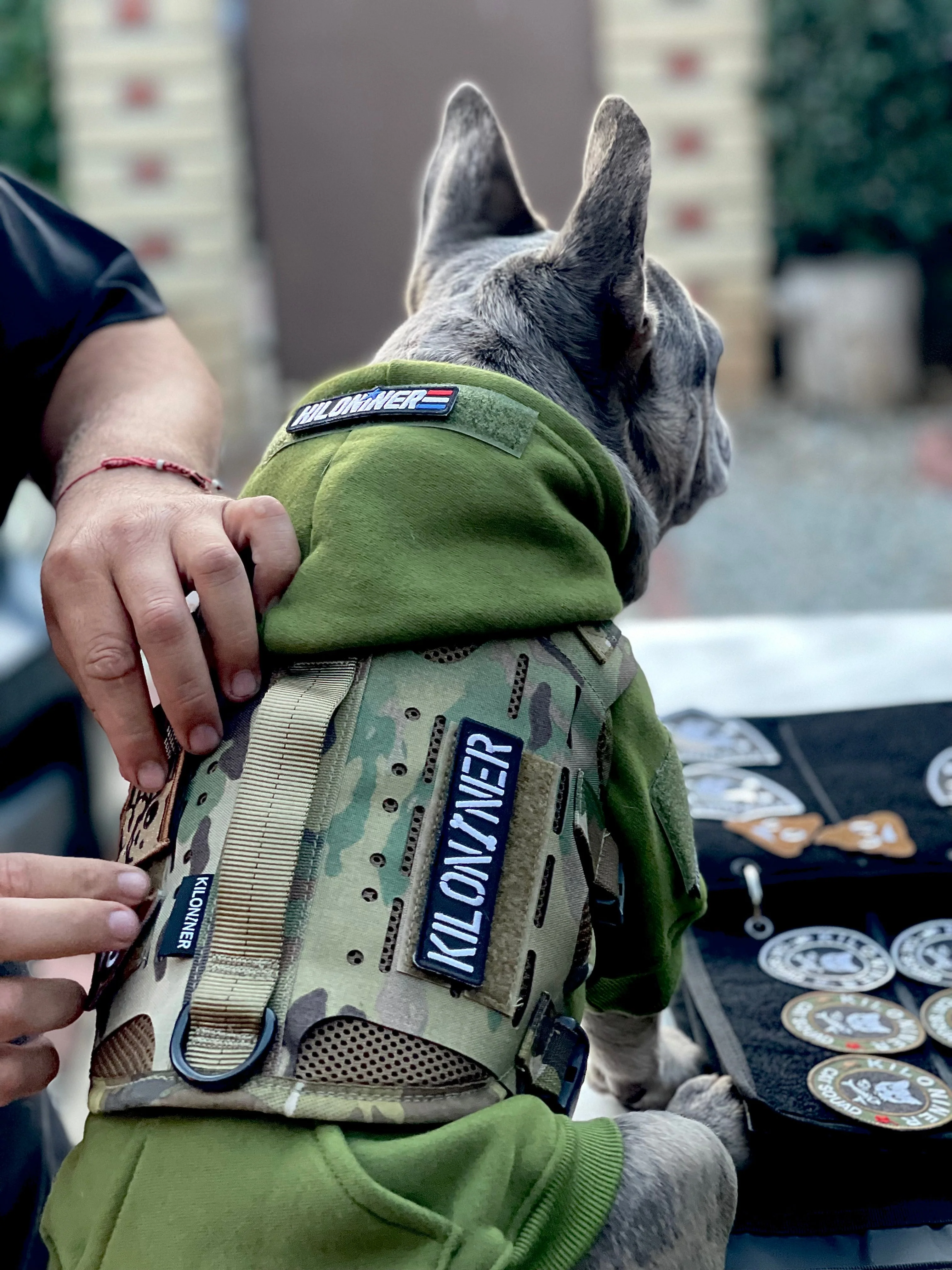 H1 Tactical Dog Hoodie - Image 3