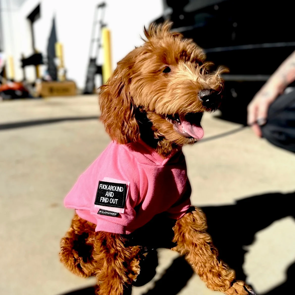 H1 Tactical Dog Hoodie - Image 4
