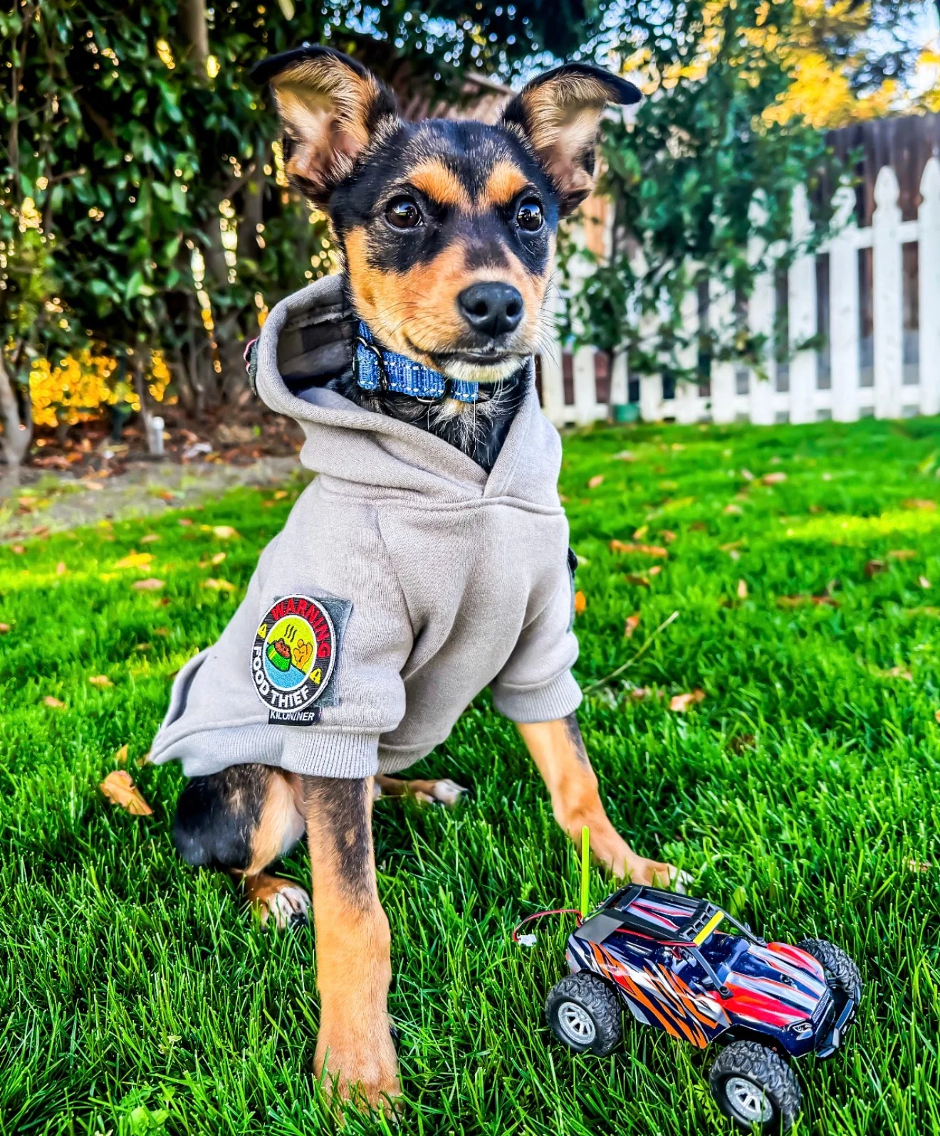 H1 Tactical Dog Hoodie - Image 7