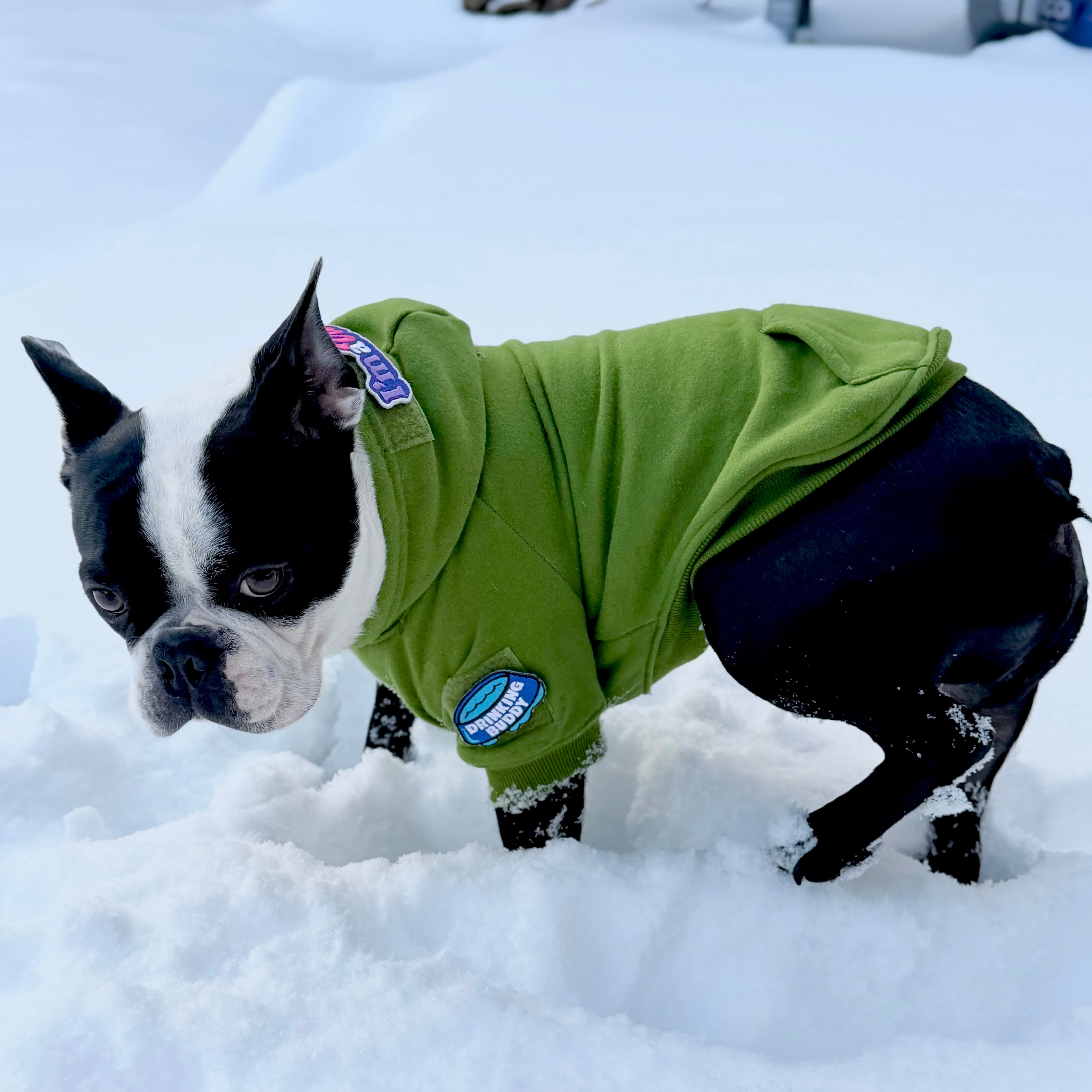 H1 Tactical Dog Hoodie - Image 8