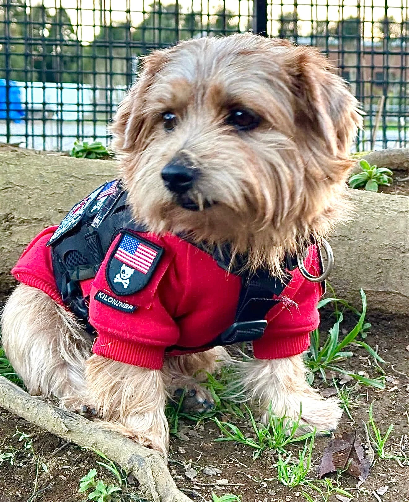 H1 Tactical Dog Hoodie - Image 9