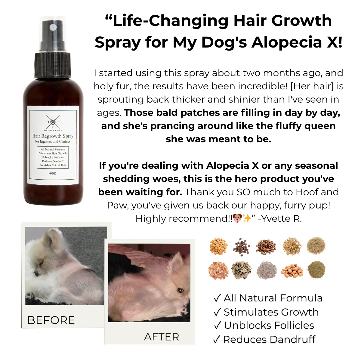 Hair Regrowth Spray for Dogs & Horses - Image 3