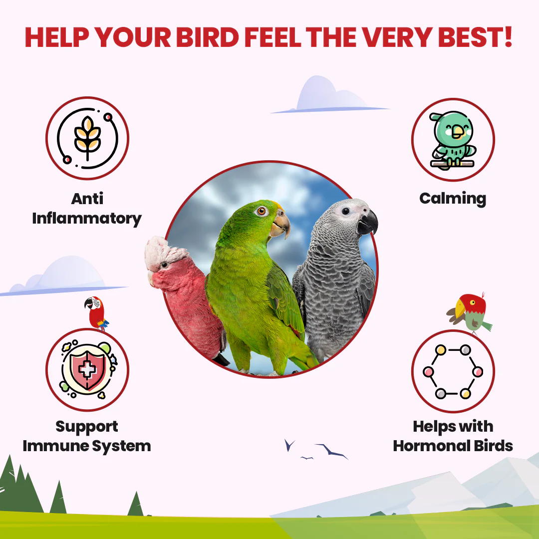 Halcyon Parrot Tea - Image 2
