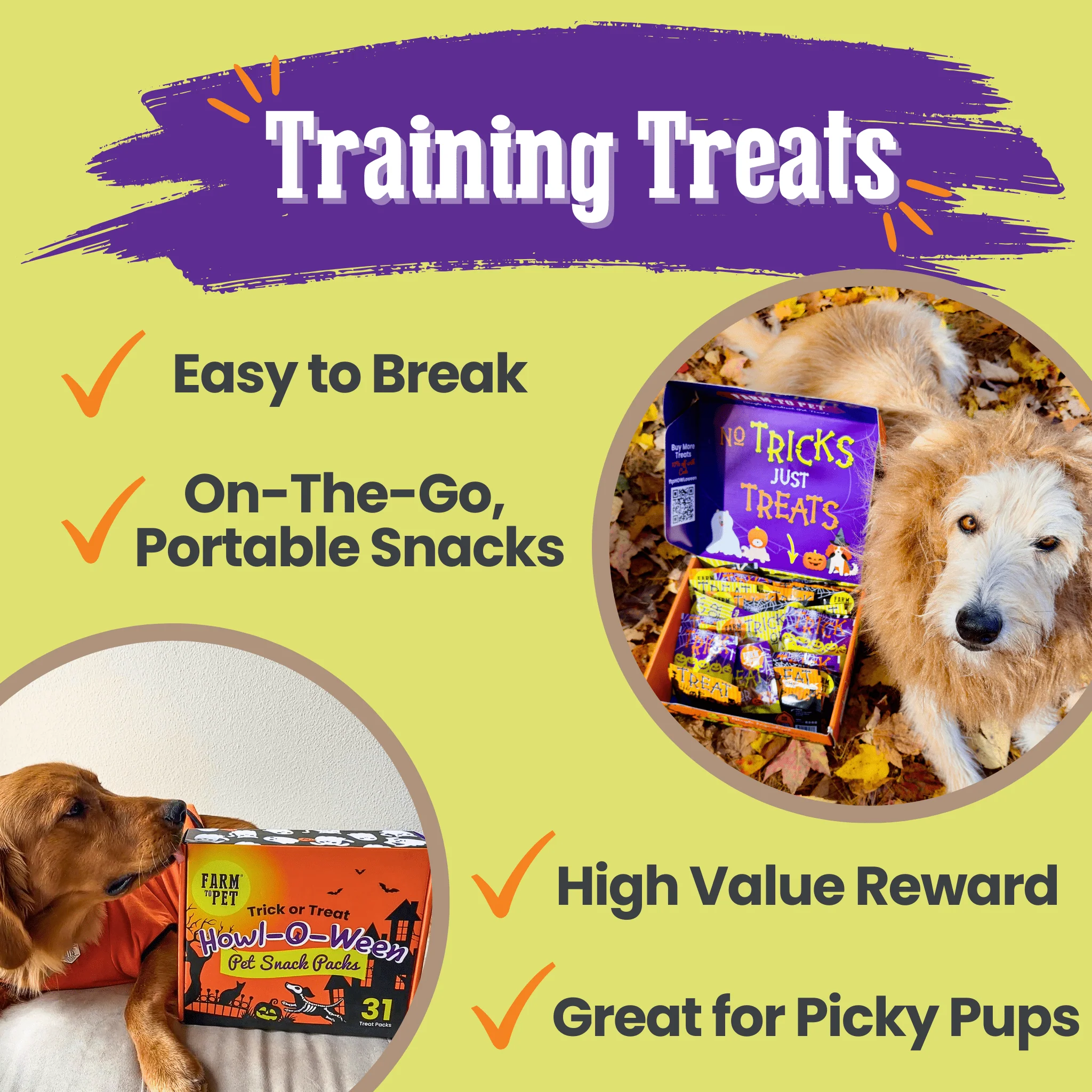 Halloween 31 Snack Pack Dog Treat Box - Image 6