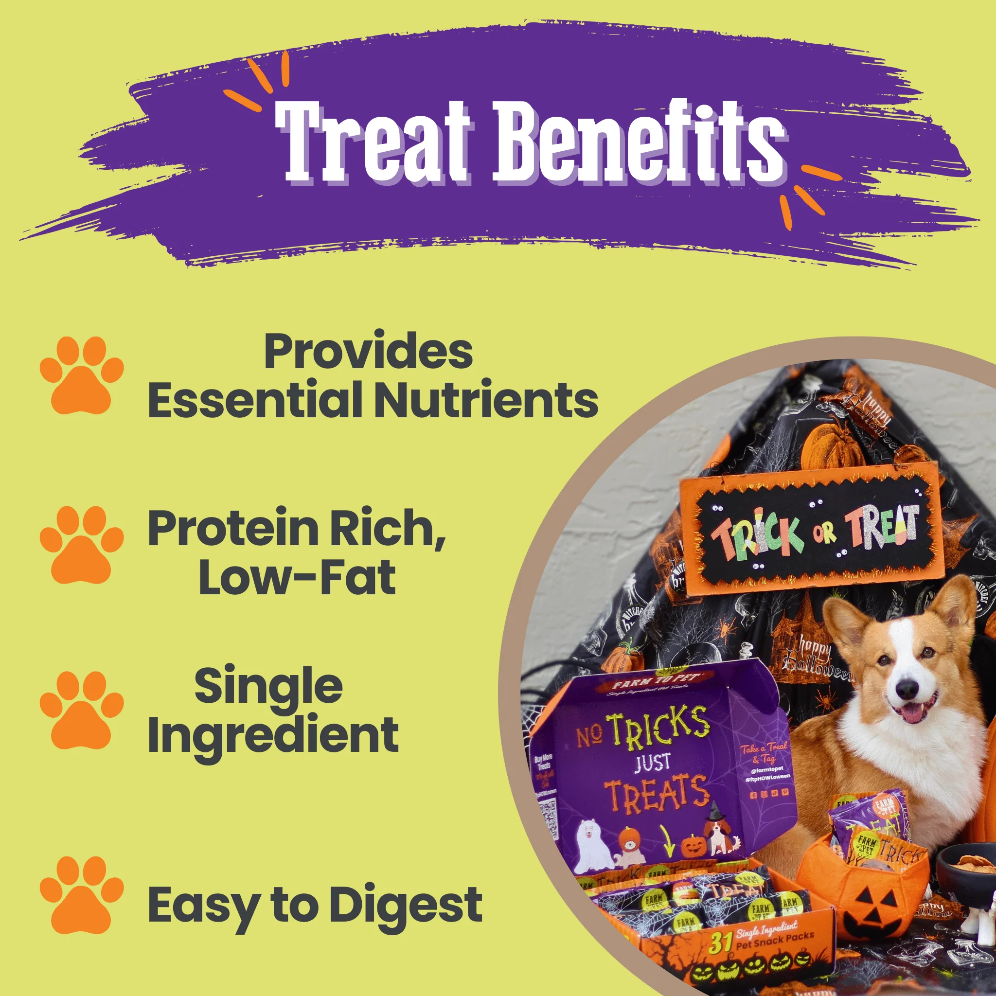 Halloween 31 Snack Pack Dog Treat Box - Image 7