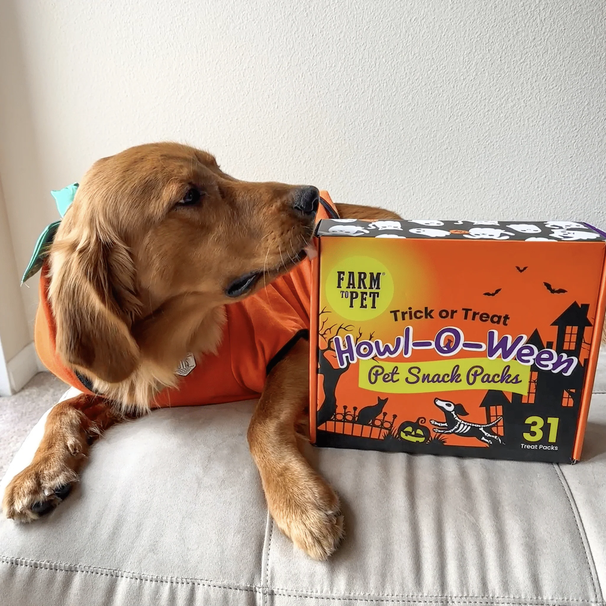 Halloween 31 Snack Pack Dog Treat Box - Image 9
