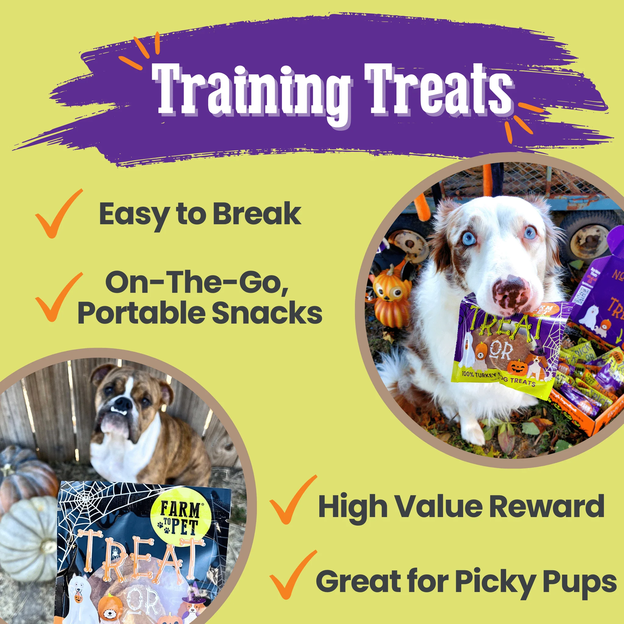 Halloween Dog Treat Snack Pack 24-Piece Bundle - Image 7