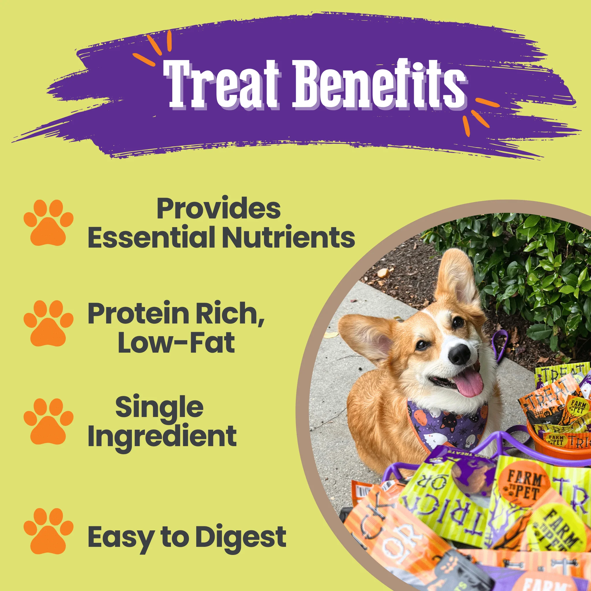 Halloween Dog Treat Snack Pack 24-Piece Bundle - Image 8