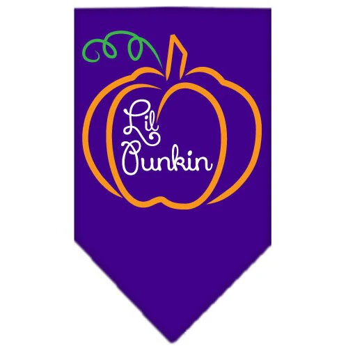 Halloween Pet and Dog Bandana Screen Printed, "Lil Punkin" - Image 4