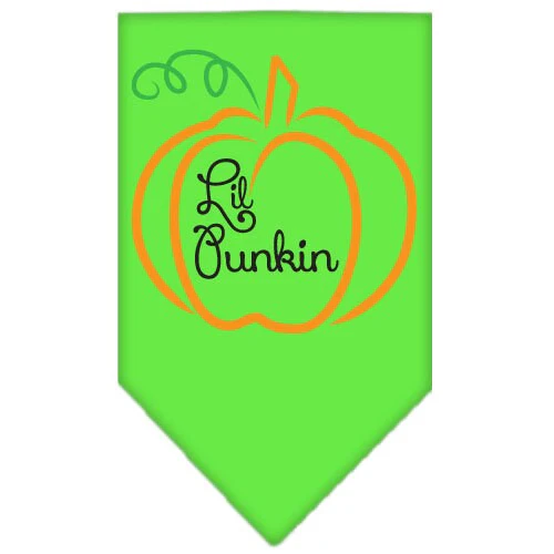 Halloween Pet and Dog Bandana Screen Printed, "Lil Punkin" - Image 9