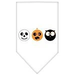 Halloween Pet and Dog Bandana Screen Printed, "The Spook Trio" - Image 2