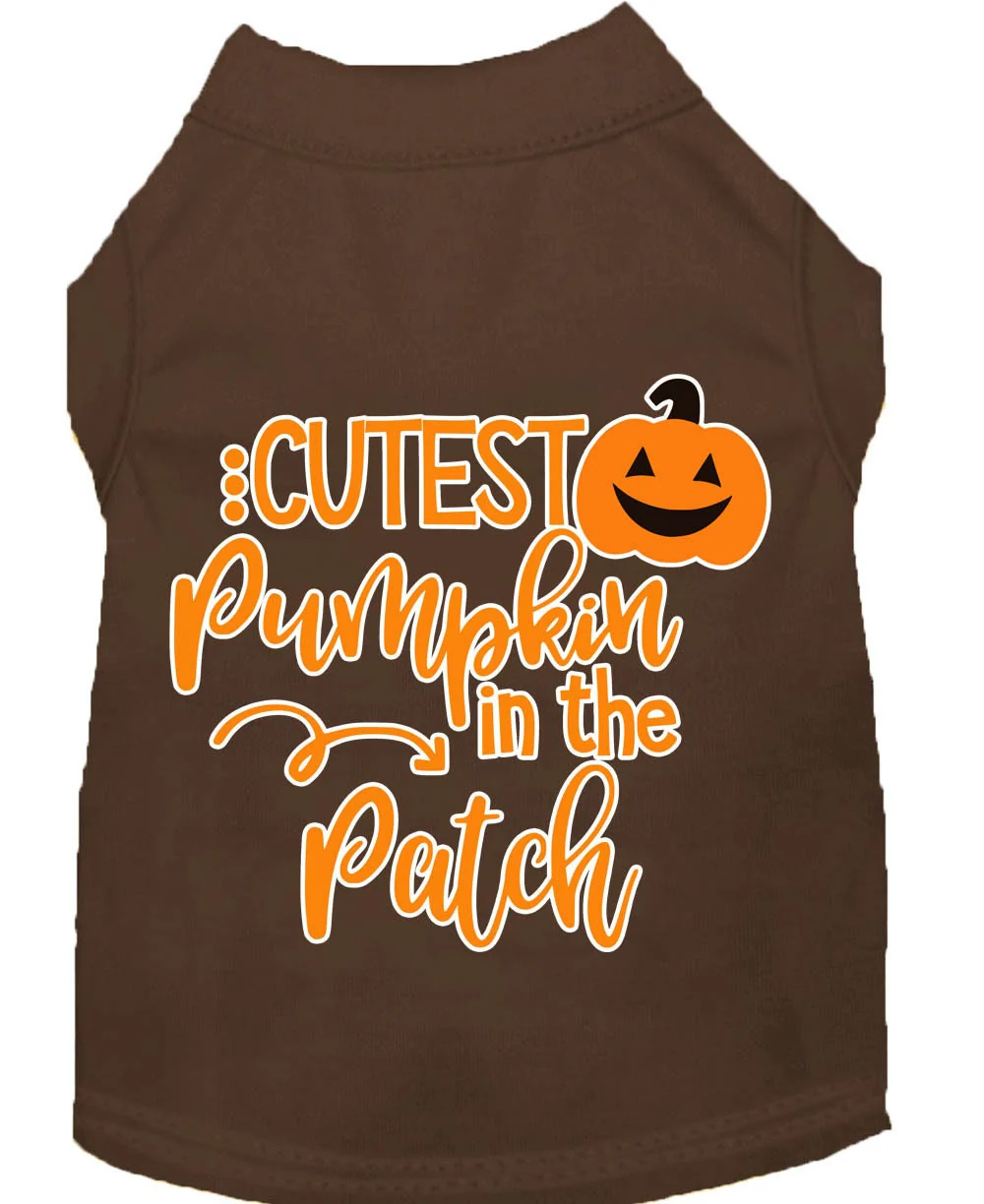 Halloween Pet Dog & Cat Shirt Screen Printed, "Cutest Pumpkin In The Patch" - Image 9