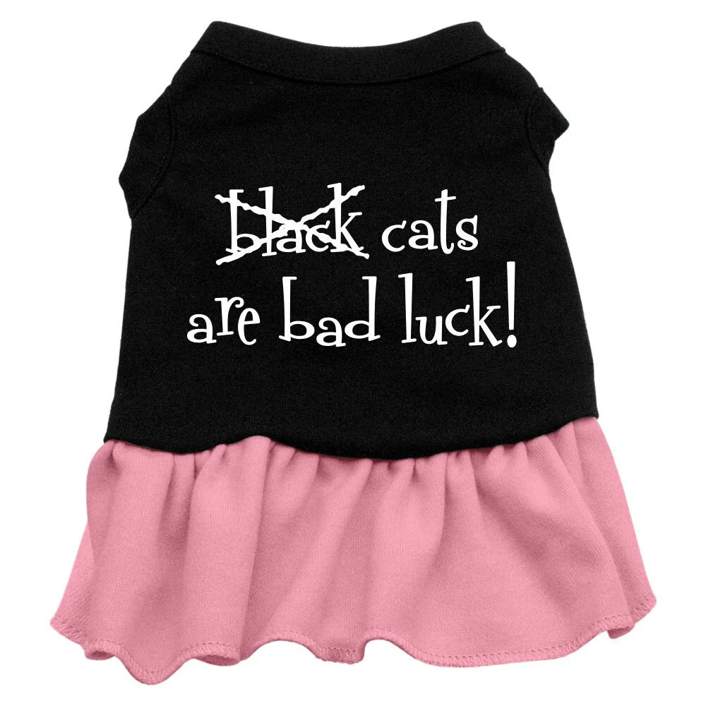 Halloween Pet Dress "Black Cats Are Bad Luck" - Image 3