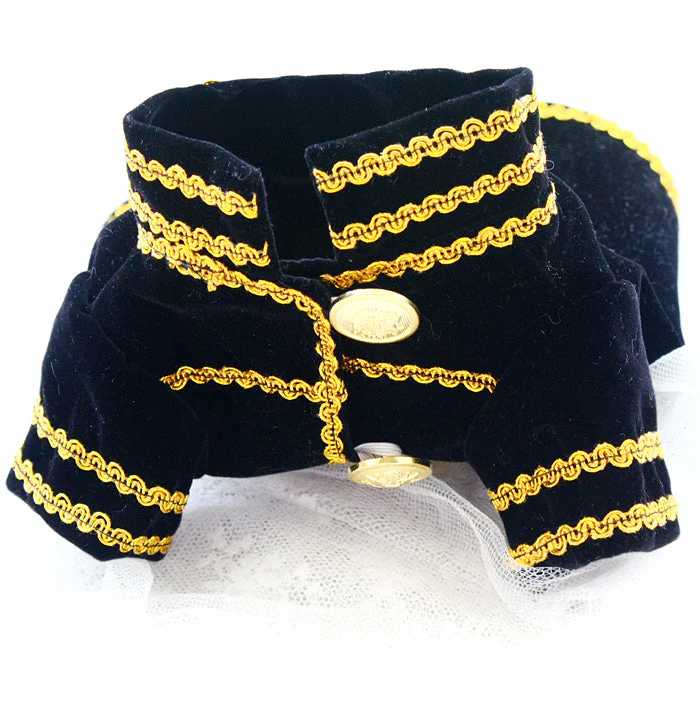Handcrafted Velvet Dog Outfit with Gold Embroidery Double Breasted Buttons Vintage Pet Jacket - Image 6