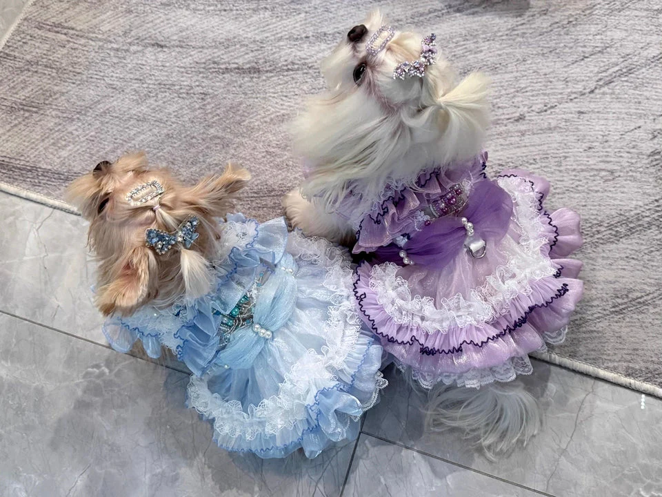 Handmade Cinderella Puppy Costume Dog Dress - Image 2
