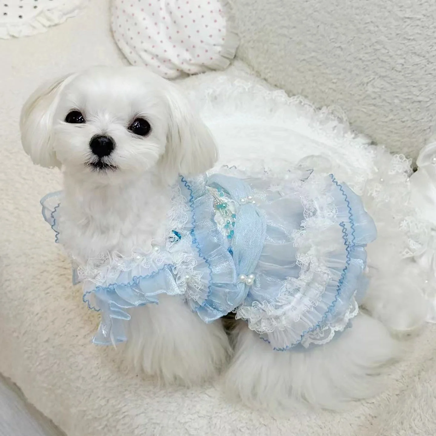 Handmade Cinderella Puppy Costume Dog Dress - Image 8
