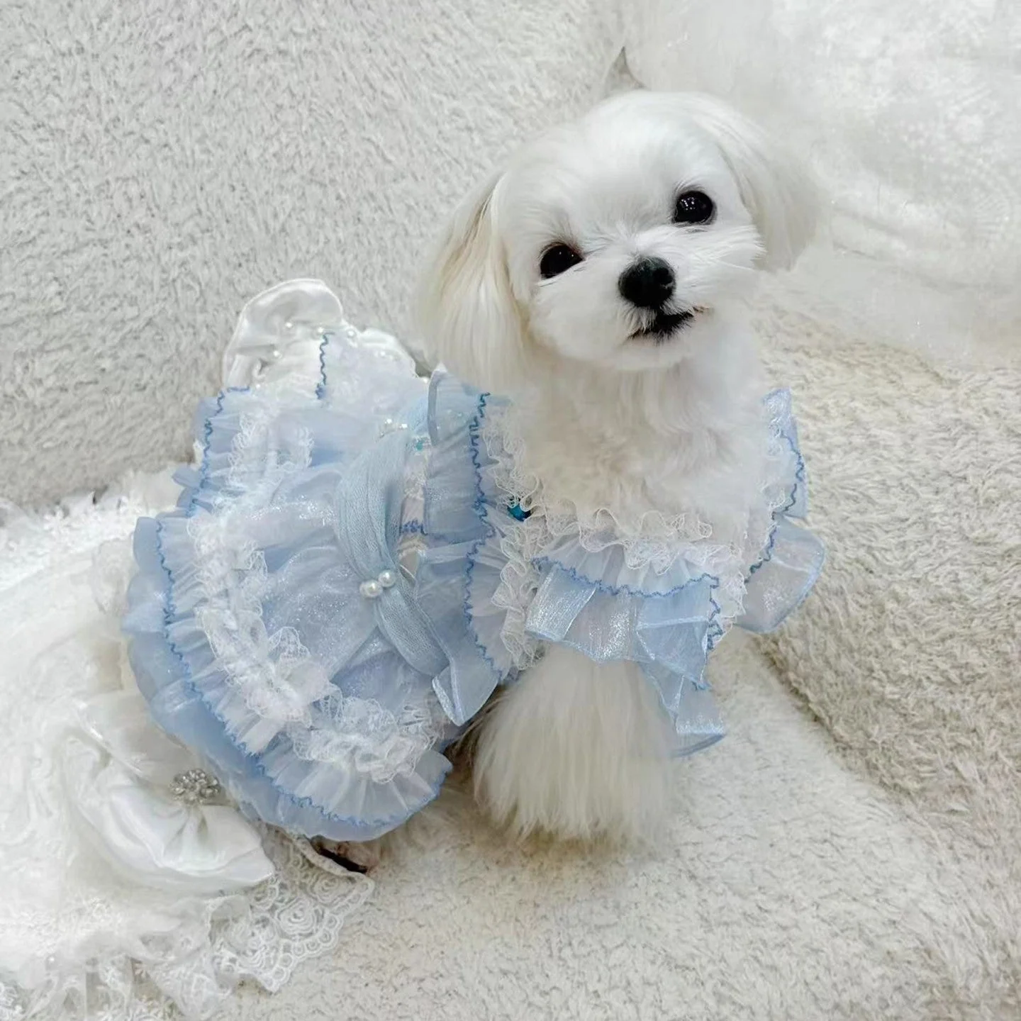 Handmade Cinderella Puppy Costume Dog Dress - Image 9
