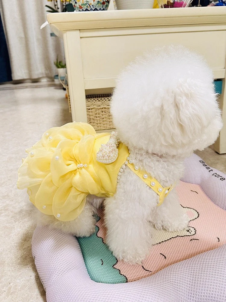 Handmade Elegant Yellow Pearl Princess Dress - Image 6