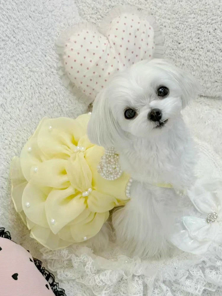 Handmade Elegant Yellow Pearl Princess Dress - Image 8
