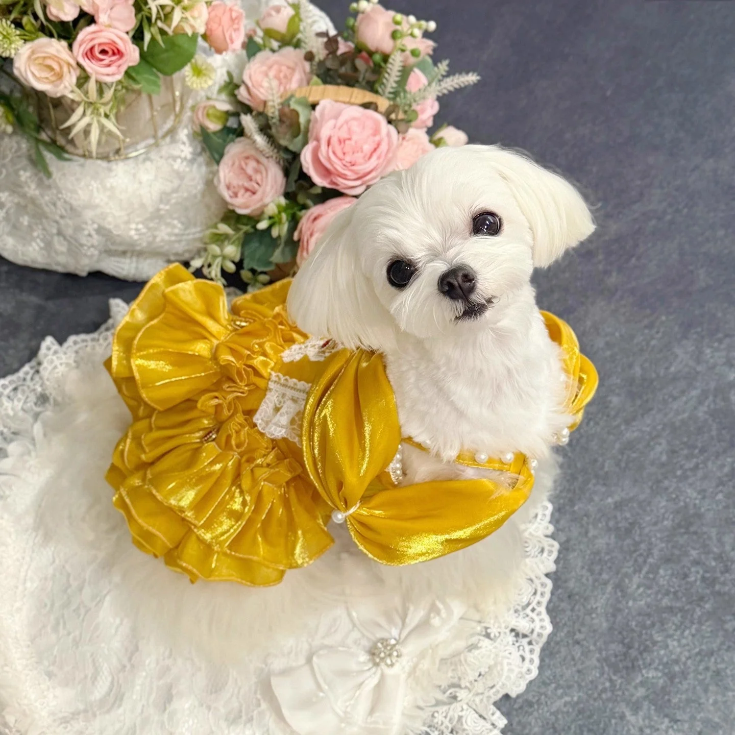 Handmade Golden Heart Jewel Dog Dress - Image 6