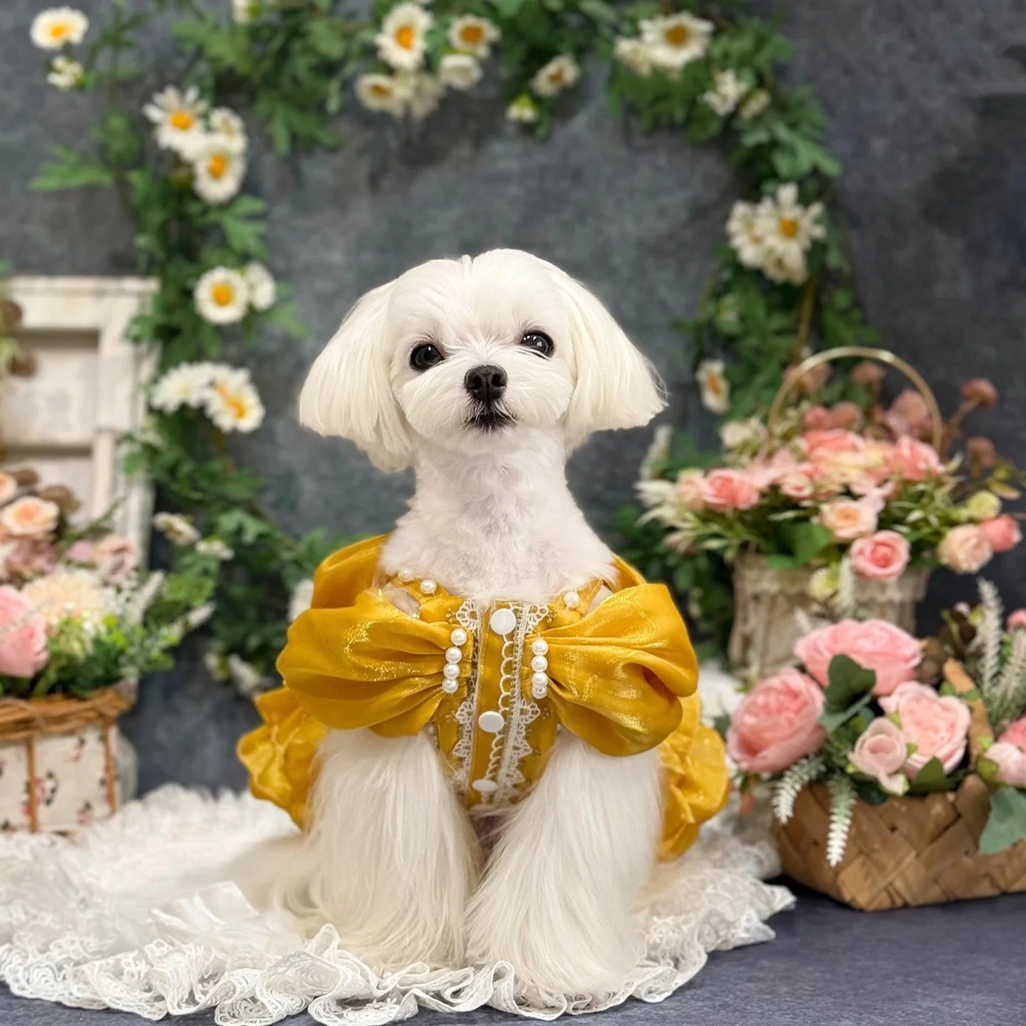 Handmade Golden Heart Jewel Dog Dress - Image 7