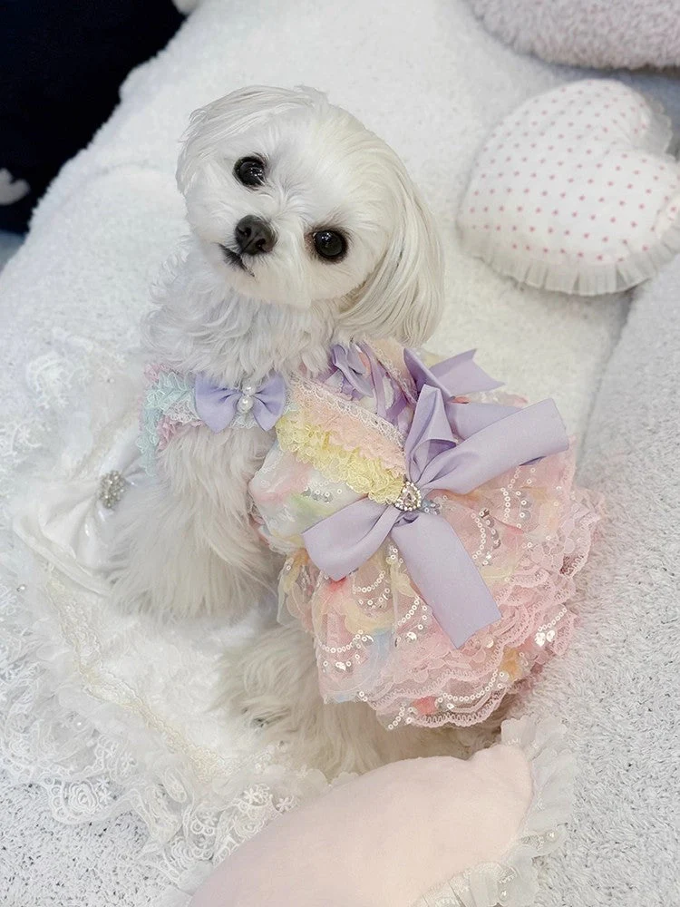 Handmade Luxury Dog Dress Princess Lace Tutu - Image 5