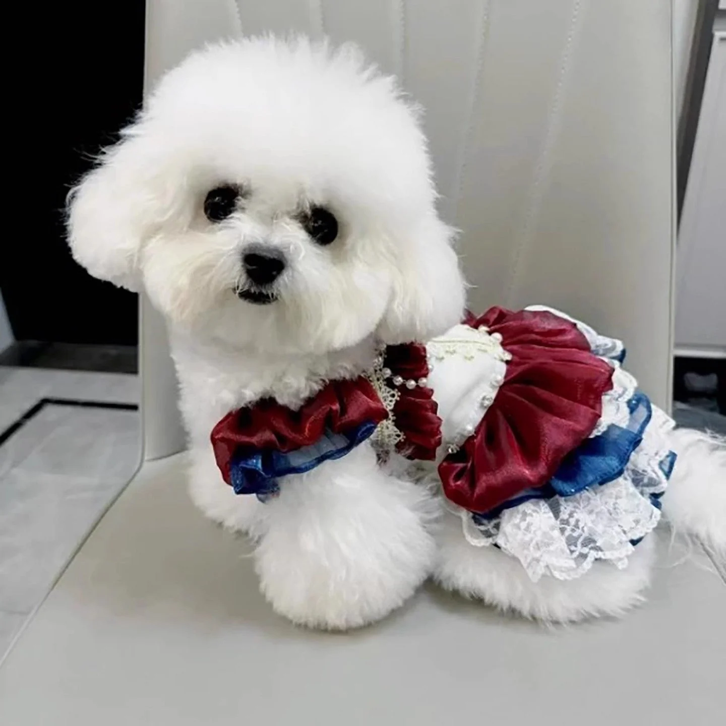 Handmade Luxury Dog Dress Royal Style Lace Tutu - Image 4