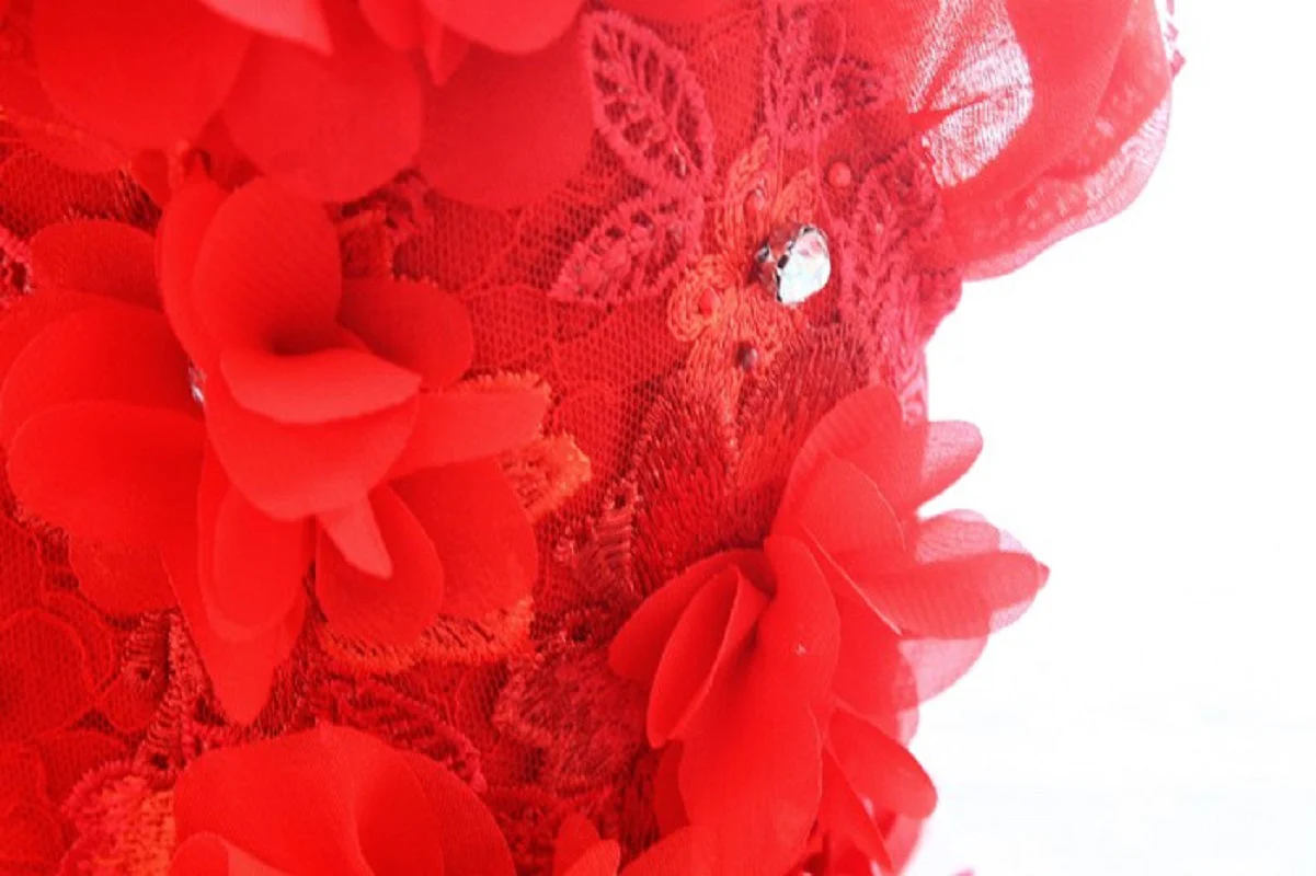 Handmade Luxury Pet Gown Red Lace Princess Dog Dress Weddings Special Occasions Photo Shoots Holiday Birthday - Image 10