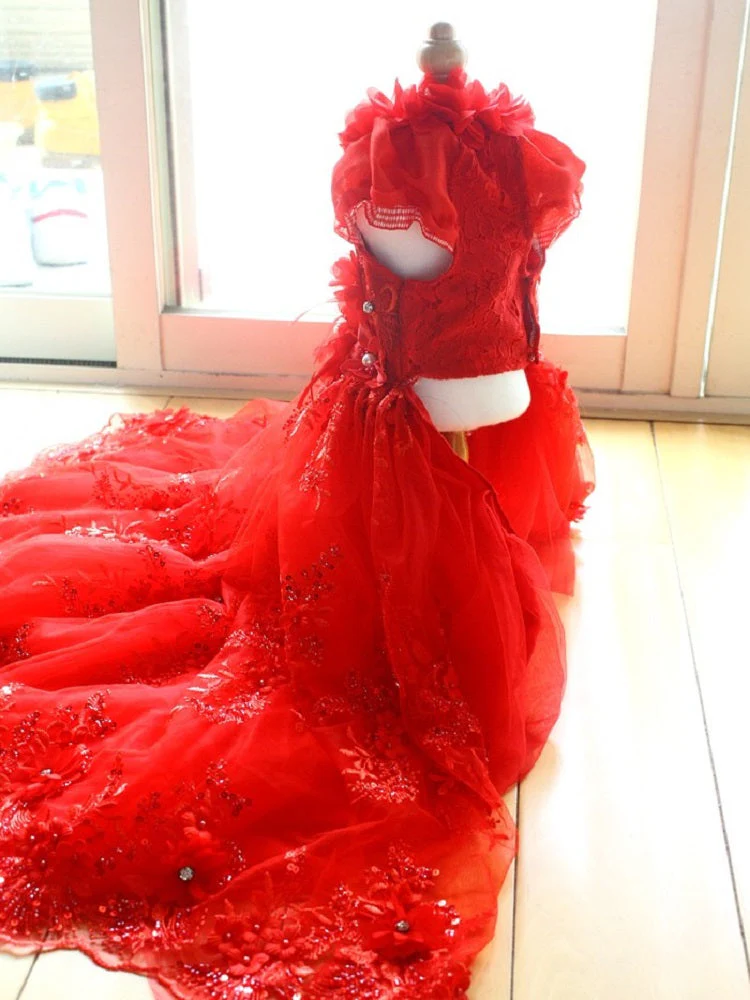 Handmade Luxury Pet Gown Red Lace Princess Dog Dress Weddings Special Occasions Photo Shoots Holiday Birthday - Image 4