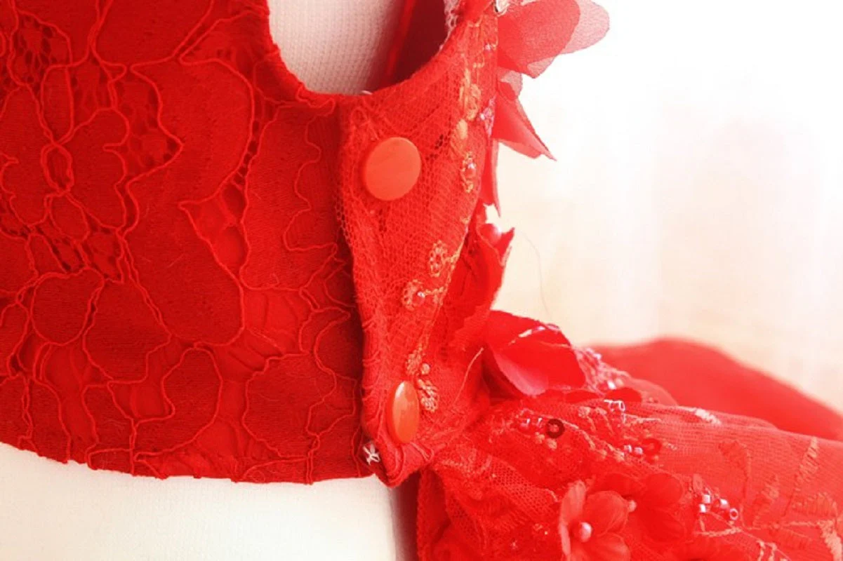 Handmade Luxury Pet Gown Red Lace Princess Dog Dress Weddings Special Occasions Photo Shoots Holiday Birthday - Image 7