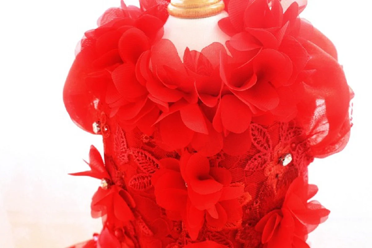 Handmade Luxury Pet Gown Red Lace Princess Dog Dress Weddings Special Occasions Photo Shoots Holiday Birthday - Image 8