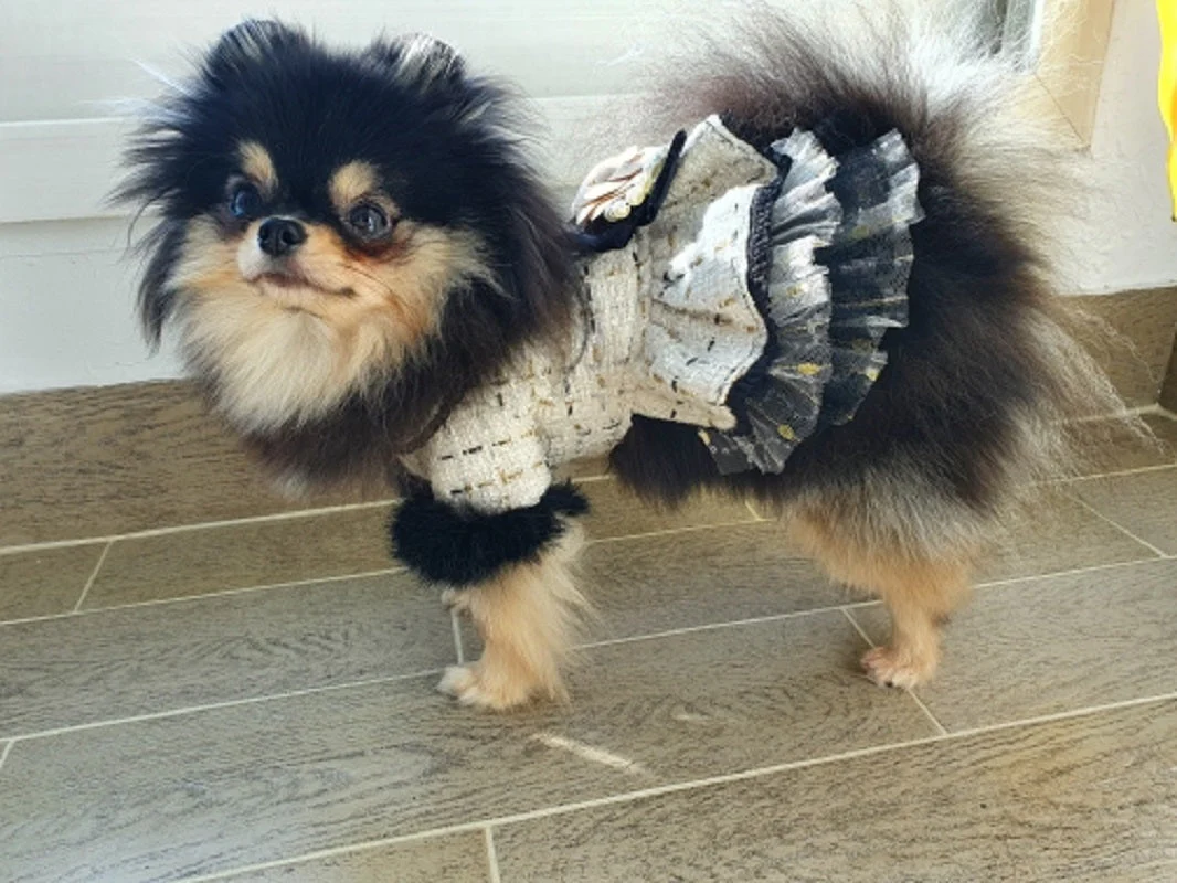 Handmade Luxury Pet Tweed Coat Dog Dress Outfit For Winter Fashion - Image 11