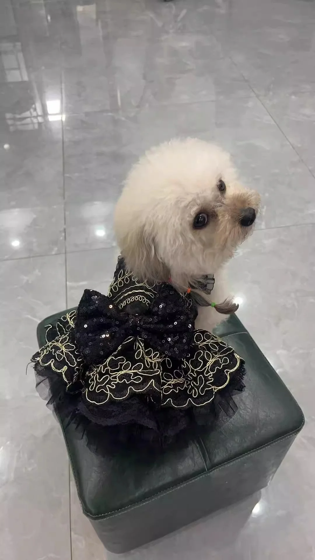 Handmade Princess Puppy Outfit Lace Tutu - Image 2