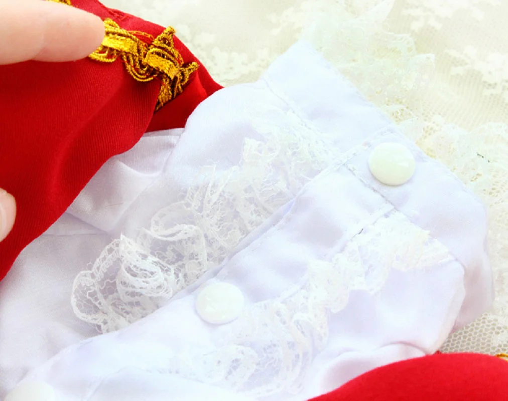 Handmade Regal French Court Dog Clothes Tailcoat Luxury Pet Suit With Shirt Lace and Gold Detailing - Image 11