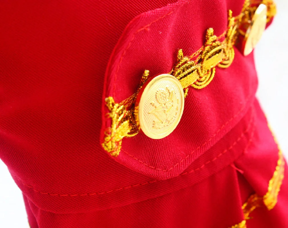 Handmade Regal French Court Dog Clothes Tailcoat Luxury Pet Suit With Shirt Lace and Gold Detailing - Image 12