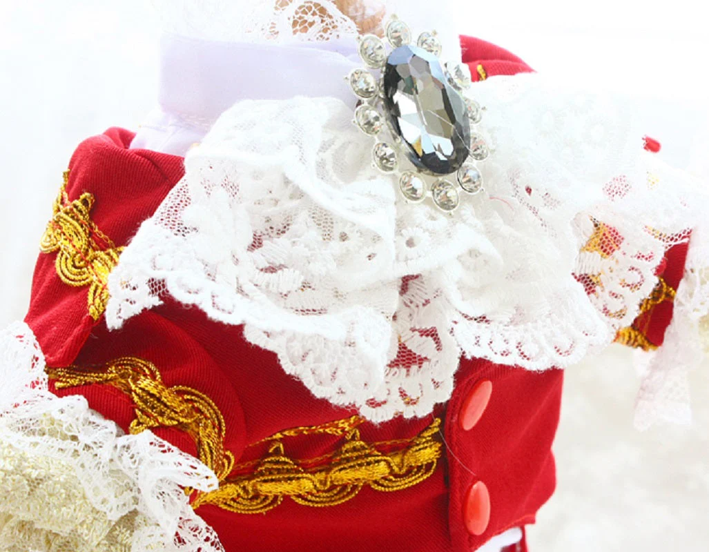 Handmade Regal French Court Dog Clothes Tailcoat Luxury Pet Suit With Shirt Lace and Gold Detailing - Image 13