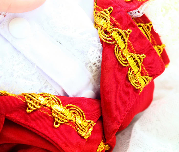Handmade Regal French Court Dog Clothes Tailcoat Luxury Pet Suit With Shirt Lace and Gold Detailing - Image 7