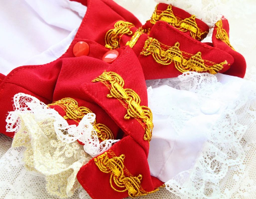 Handmade Regal French Court Dog Clothes Tailcoat Luxury Pet Suit With Shirt Lace and Gold Detailing - Image 8