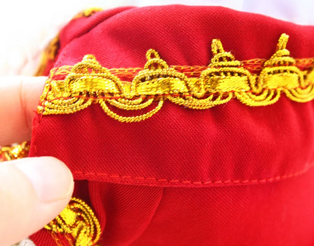 Handmade Regal French Court Dog Clothes Tailcoat Luxury Pet Suit With Shirt Lace and Gold Detailing - Image 9