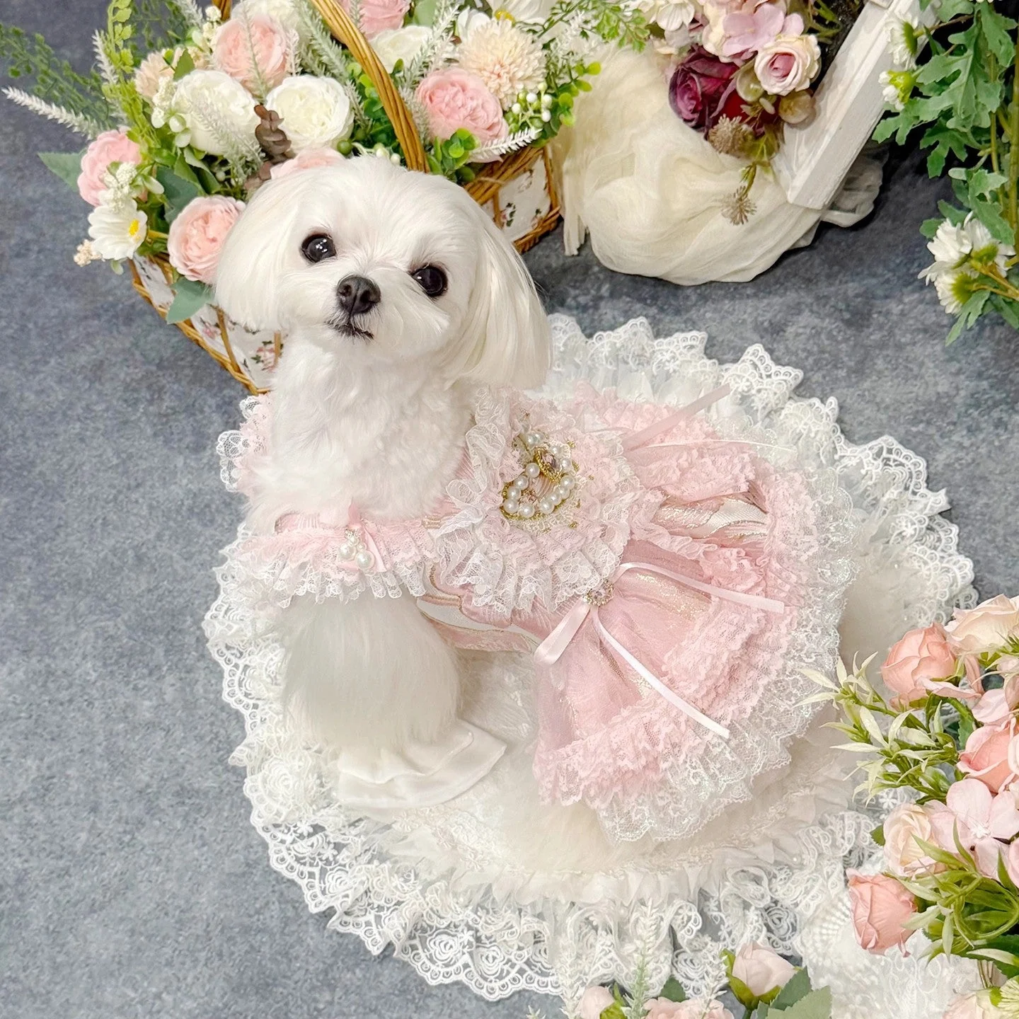 Handmade Romantic Puppy Gown Pink Lace - Image 6