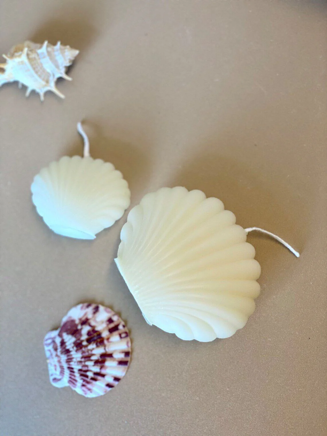 Handmade Soy Wax Shell Candles - Unique Eco-Friendly Decor with Soy Wax Shell Handmade Candles - Image 4