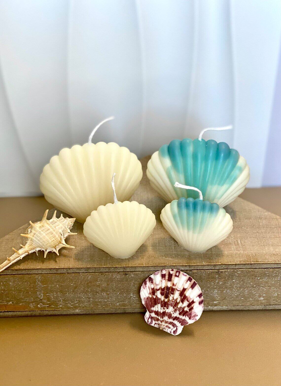 Handmade Soy Wax Shell Candles - Unique Eco-Friendly Decor with Soy Wax Shell Handmade Candles - Image 5