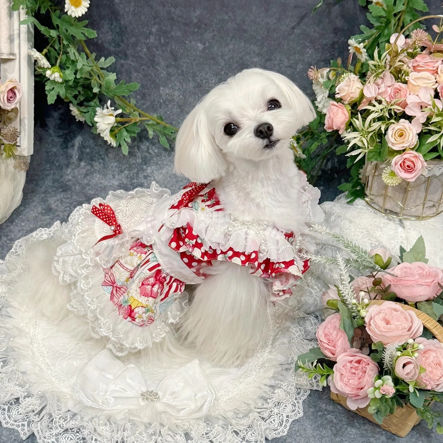 Handmade Sweet Lolita Pet Dress - Image 4