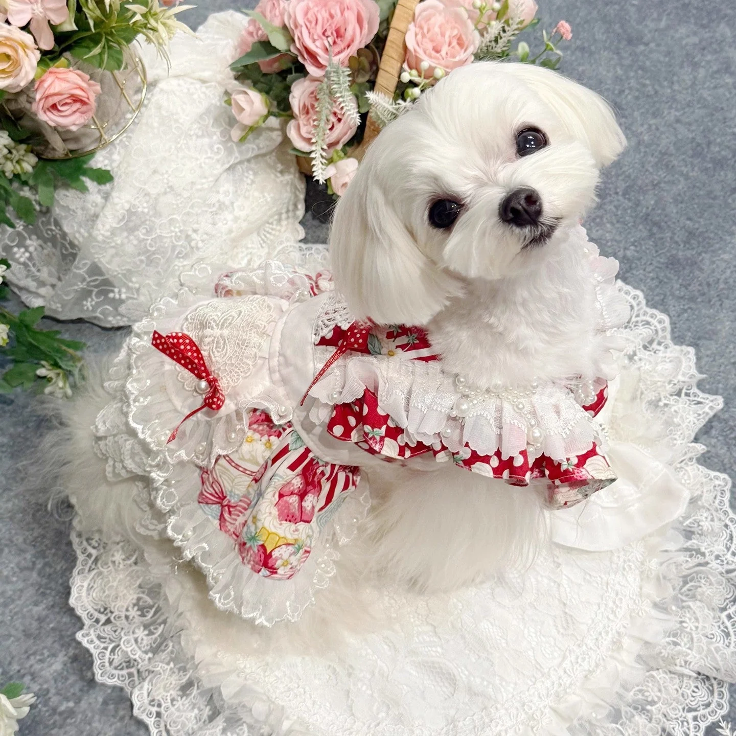 Handmade Sweet Lolita Pet Dress - Image 5