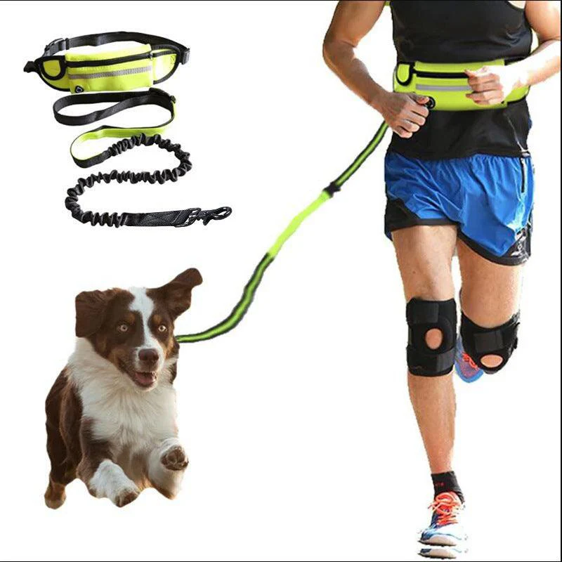 Hands Free Dog Leash with Waist Bag - Image 2