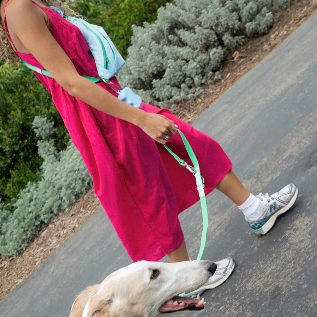 Hands-Free Dog Walking Bag - Image 8