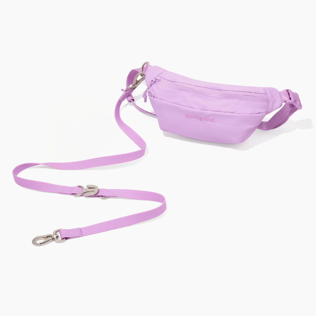 Hands-Free Dog Walking Bag with 4ft Leash - Image 14