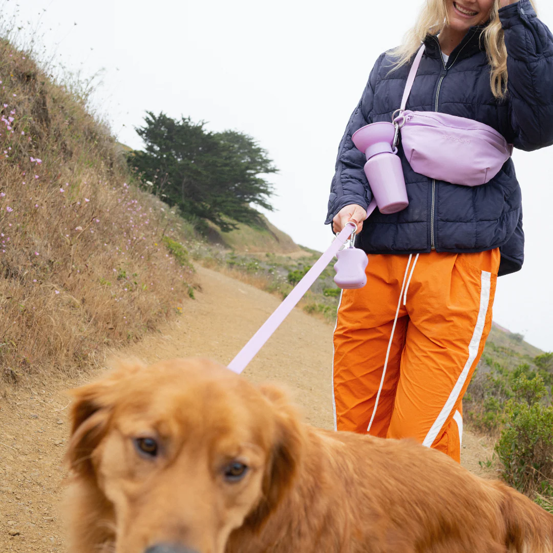Hands-Free Dog Walking Bag with 4ft Leash - Image 18