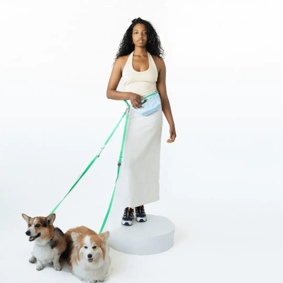 Hands-Free Dog Walking Bag with 4ft Leash - Image 2